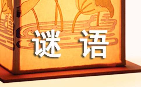新手球迷如何快速了解篮球选秀权_1